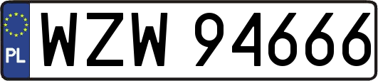 WZW94666
