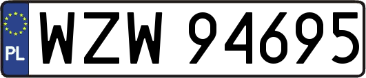 WZW94695