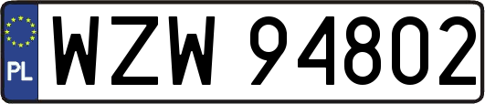 WZW94802