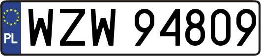 WZW94809