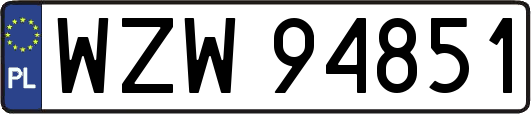 WZW94851
