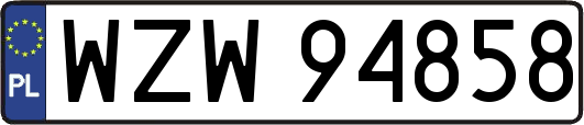 WZW94858