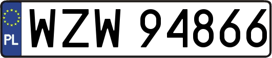 WZW94866