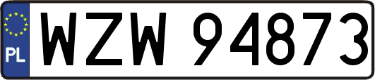 WZW94873