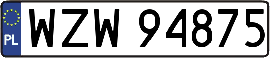 WZW94875