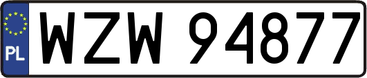 WZW94877