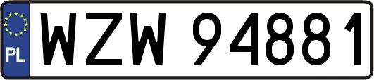 WZW94881