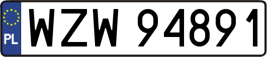 WZW94891
