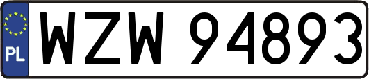 WZW94893
