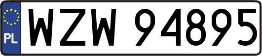WZW94895