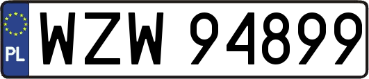 WZW94899