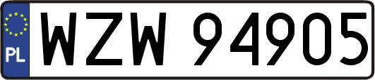 WZW94905