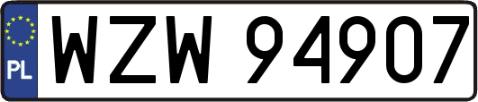 WZW94907
