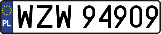 WZW94909