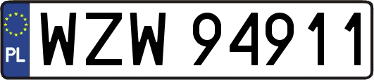 WZW94911