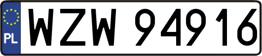 WZW94916
