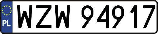 WZW94917