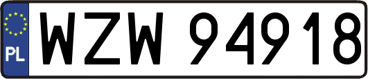 WZW94918