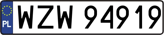 WZW94919
