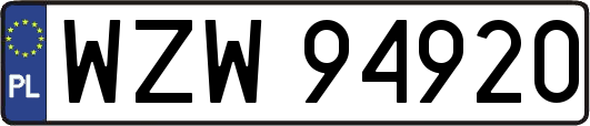 WZW94920