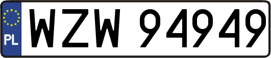 WZW94949