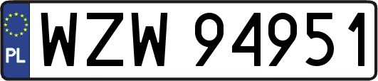 WZW94951