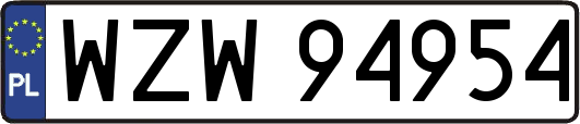 WZW94954