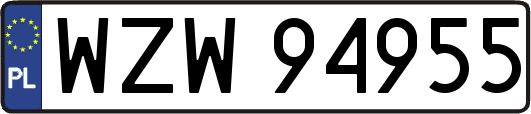 WZW94955