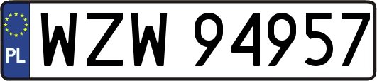 WZW94957