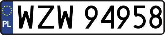 WZW94958