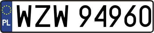 WZW94960