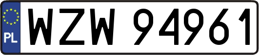 WZW94961