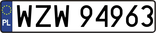 WZW94963