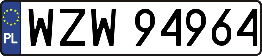 WZW94964