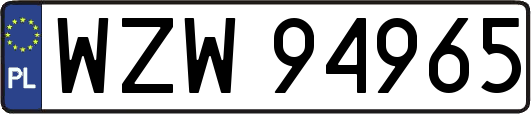 WZW94965