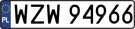 WZW94966
