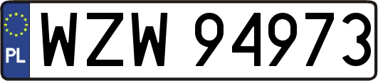 WZW94973
