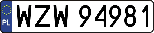 WZW94981
