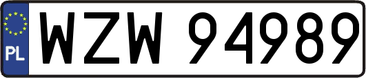 WZW94989
