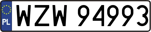 WZW94993