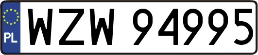WZW94995
