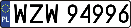 WZW94996