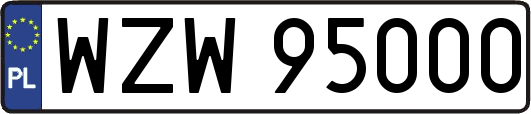 WZW95000