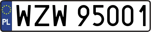 WZW95001