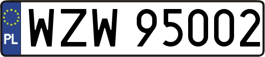 WZW95002