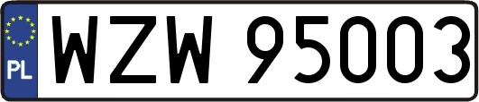 WZW95003