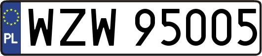 WZW95005