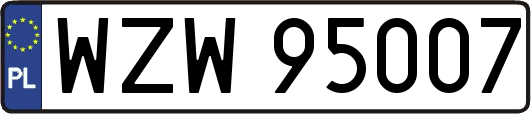 WZW95007