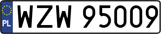 WZW95009