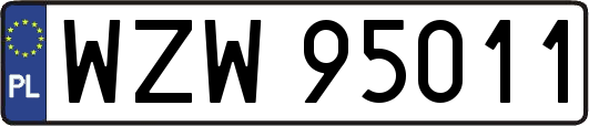 WZW95011